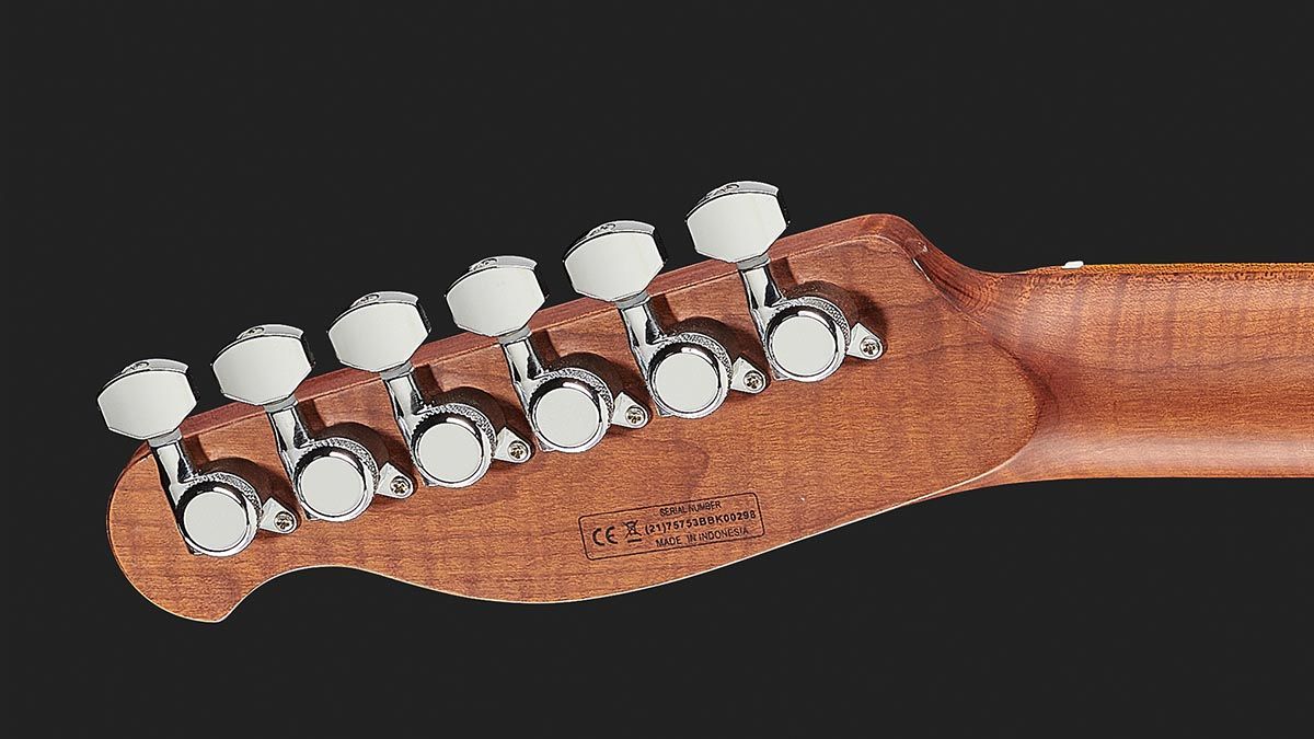Harley Benton Fusion-T HH Roasted
