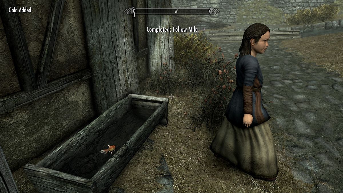 Skyrim Anniversary Edition