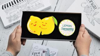 lemon squeezy letterbox biscuits