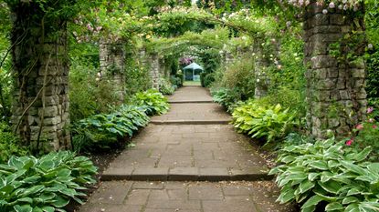 hostas in garden with long pathway to bench