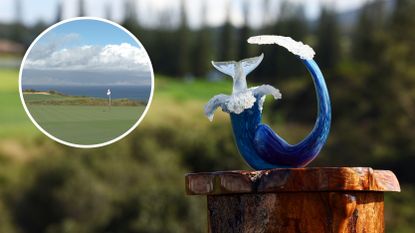 Main image of The Sentry trophy and an inset image of Kapalua Resort appearing to be in excellent condition