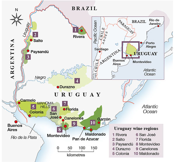 Uruguay's main wine regions