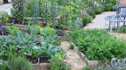 Beautiful vegetable plots at RHS Chelsea Flower Show