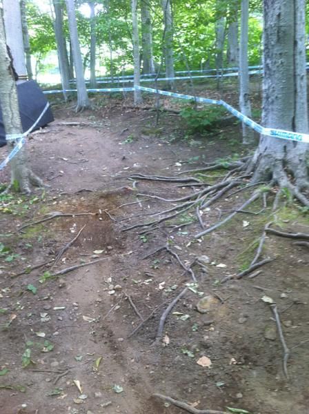 Rocks and roots on course are typical of Mont-Sainte-Anne