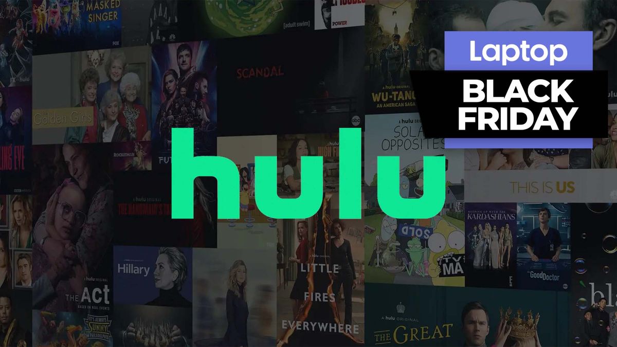 Save  on Hulu with this Black Friday deal — just  a month for a full year!