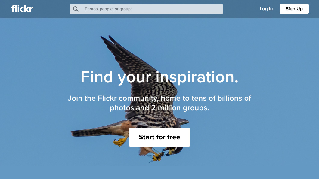 Best Photo Organizer App: Flickr