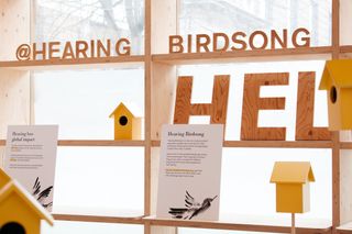 Hearing Birdsong installed in past display