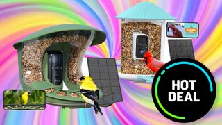 Bird feeder cameras