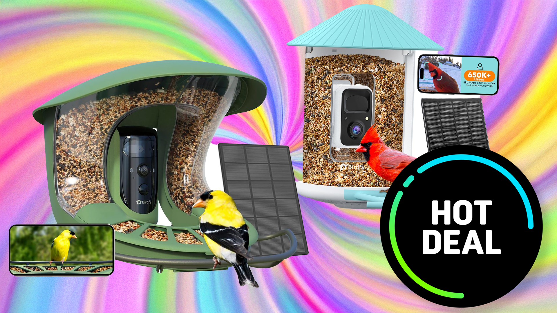 Bird feeder cameras