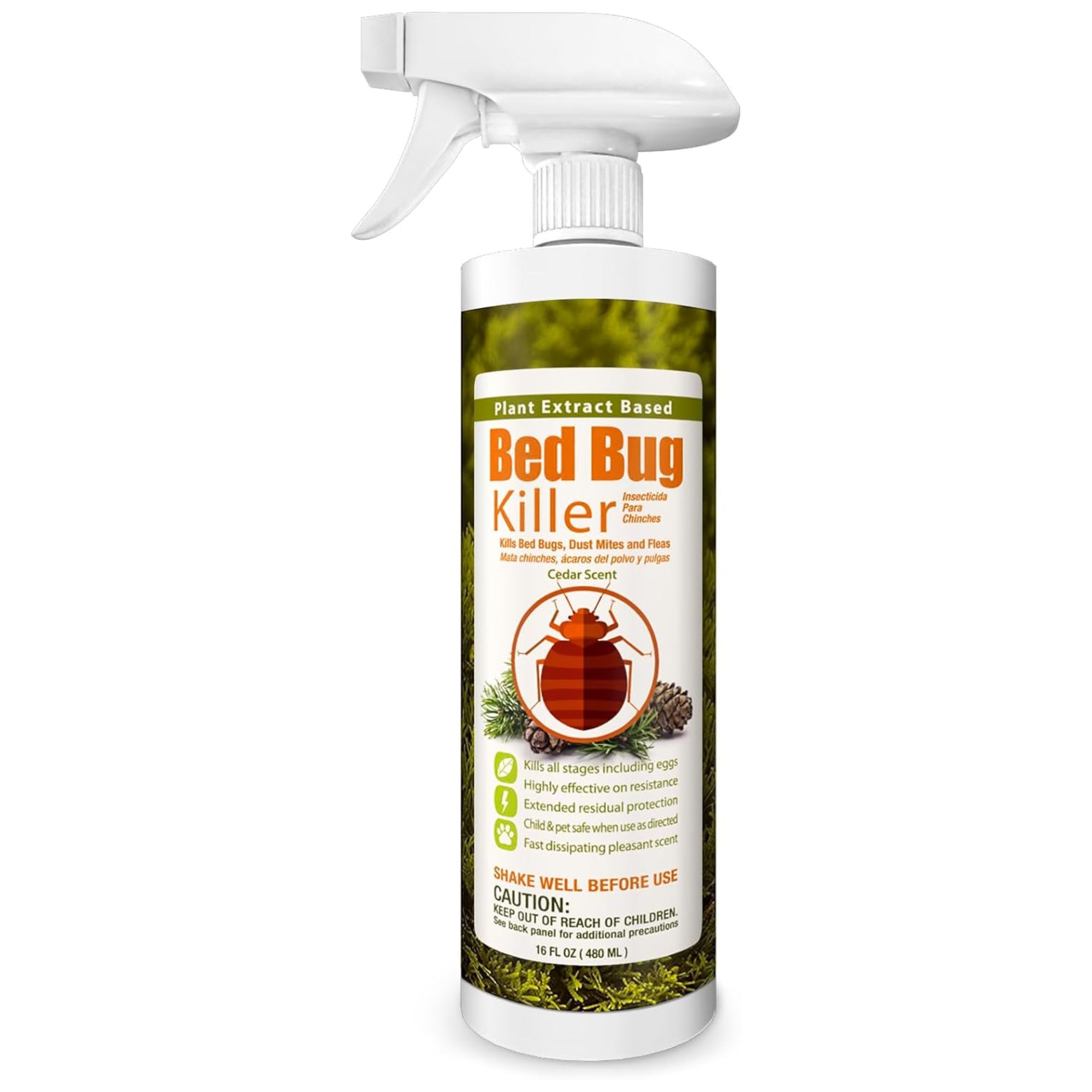 Bed Bug Killer