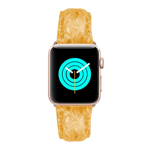 Bracelet Apple Watch Mintapple Limited Edition Genuine Exotic sur fond blanc