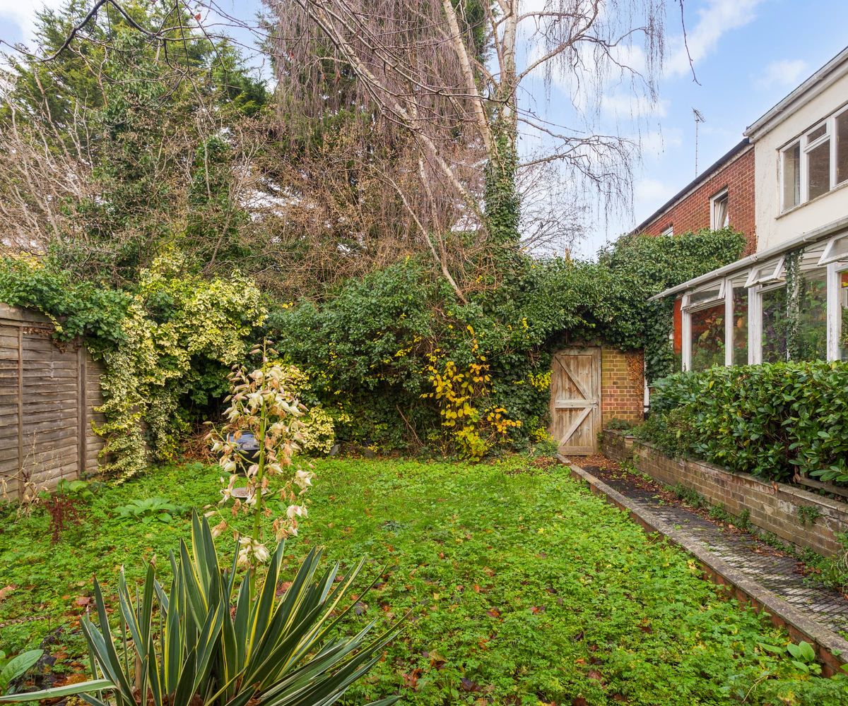 A garden with a yucca and small green lawn