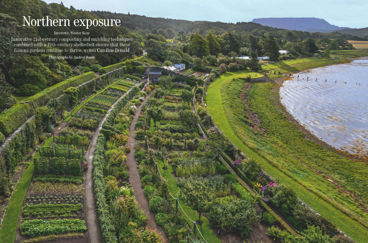 Spreads from the August 20 issue of Country Life