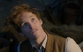 Fantastic Beasts and Where to Find Them Eddie Redmayne