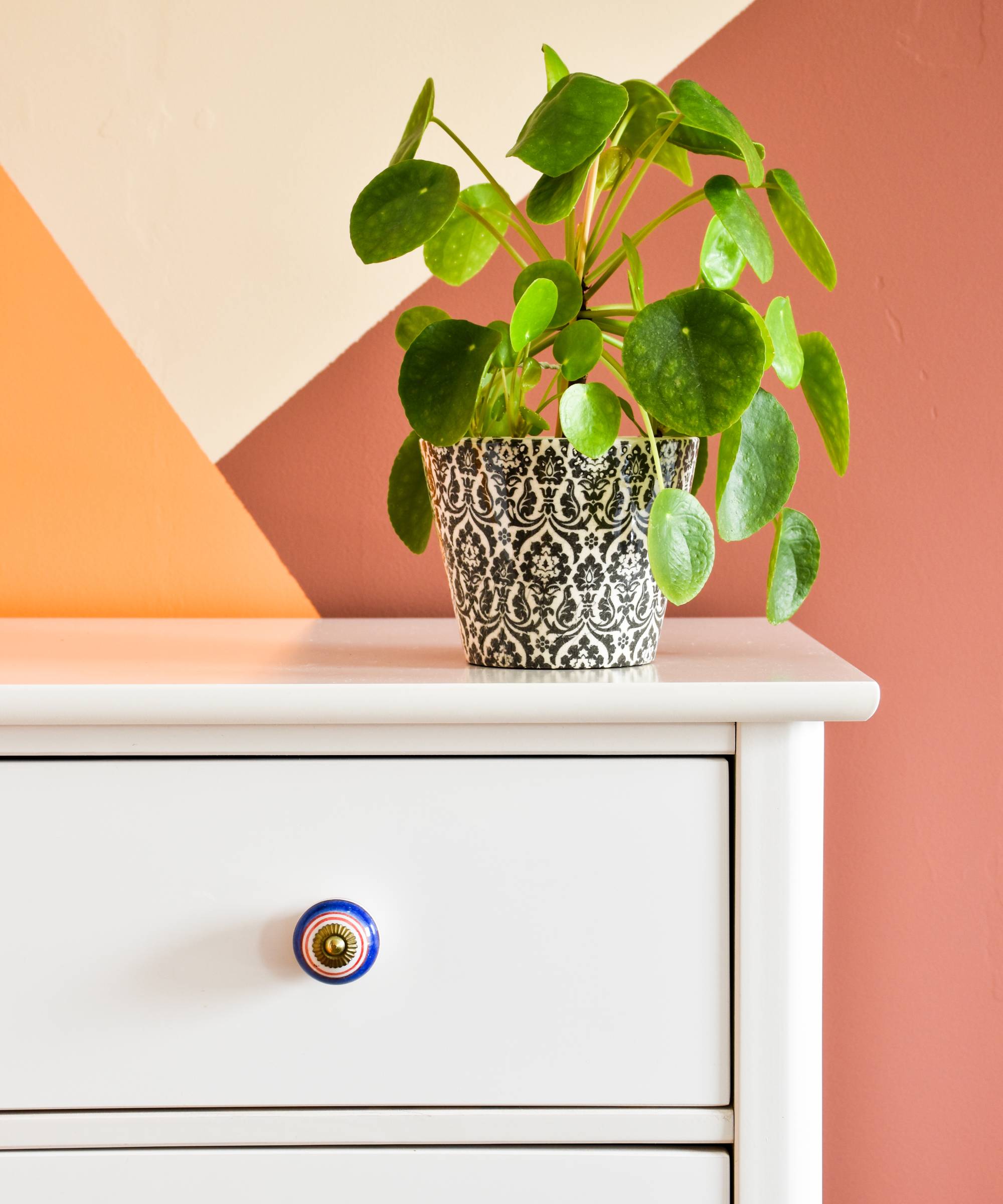 Pilea plant on dresser in entryway