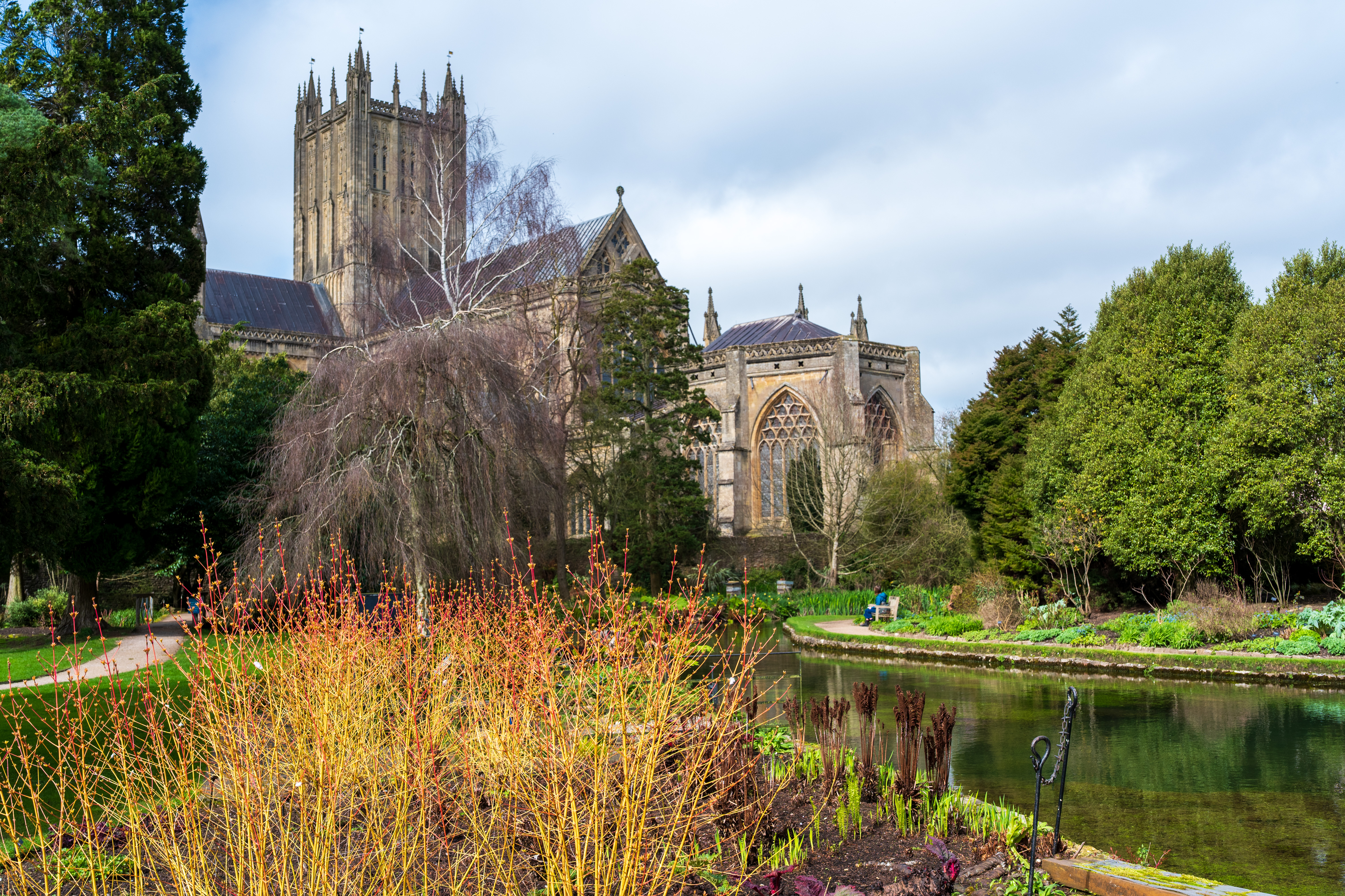 Viltrox AF 35mm f/1.8 Evo II sample shot