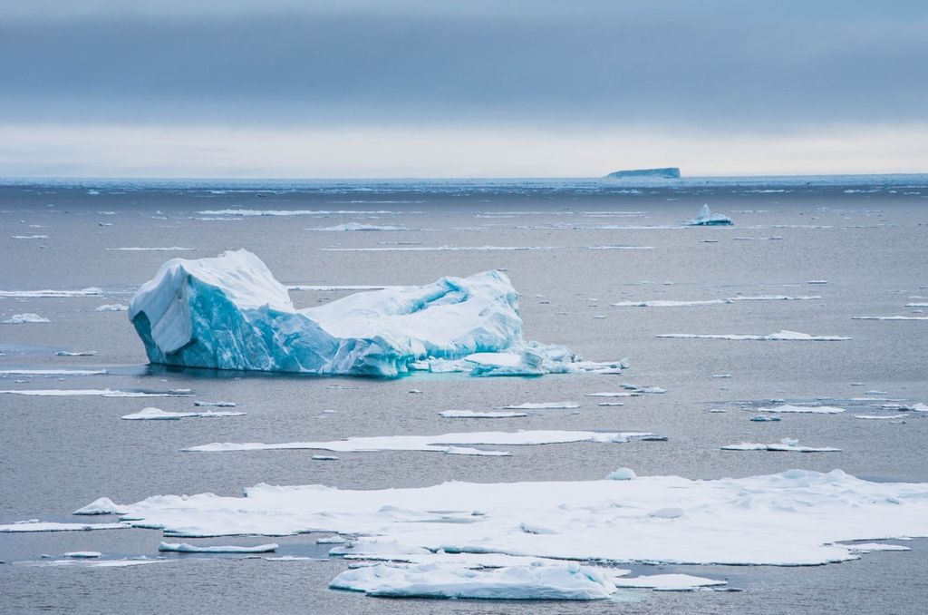 Most of the Arctic's 'Baby Sea Ice' Melts Before It Leaves the Nursery ...