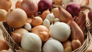 Basket of onions