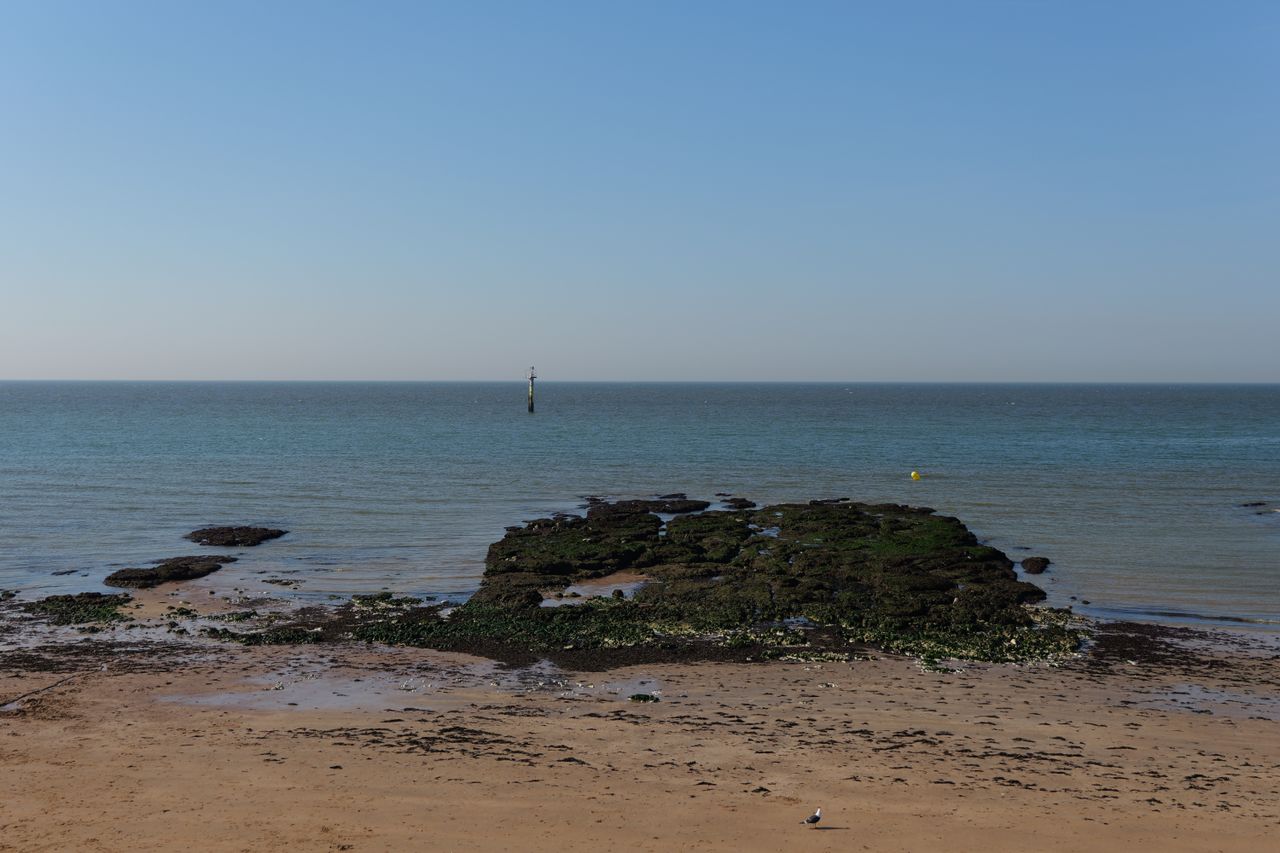 The ocean with beach and rocks