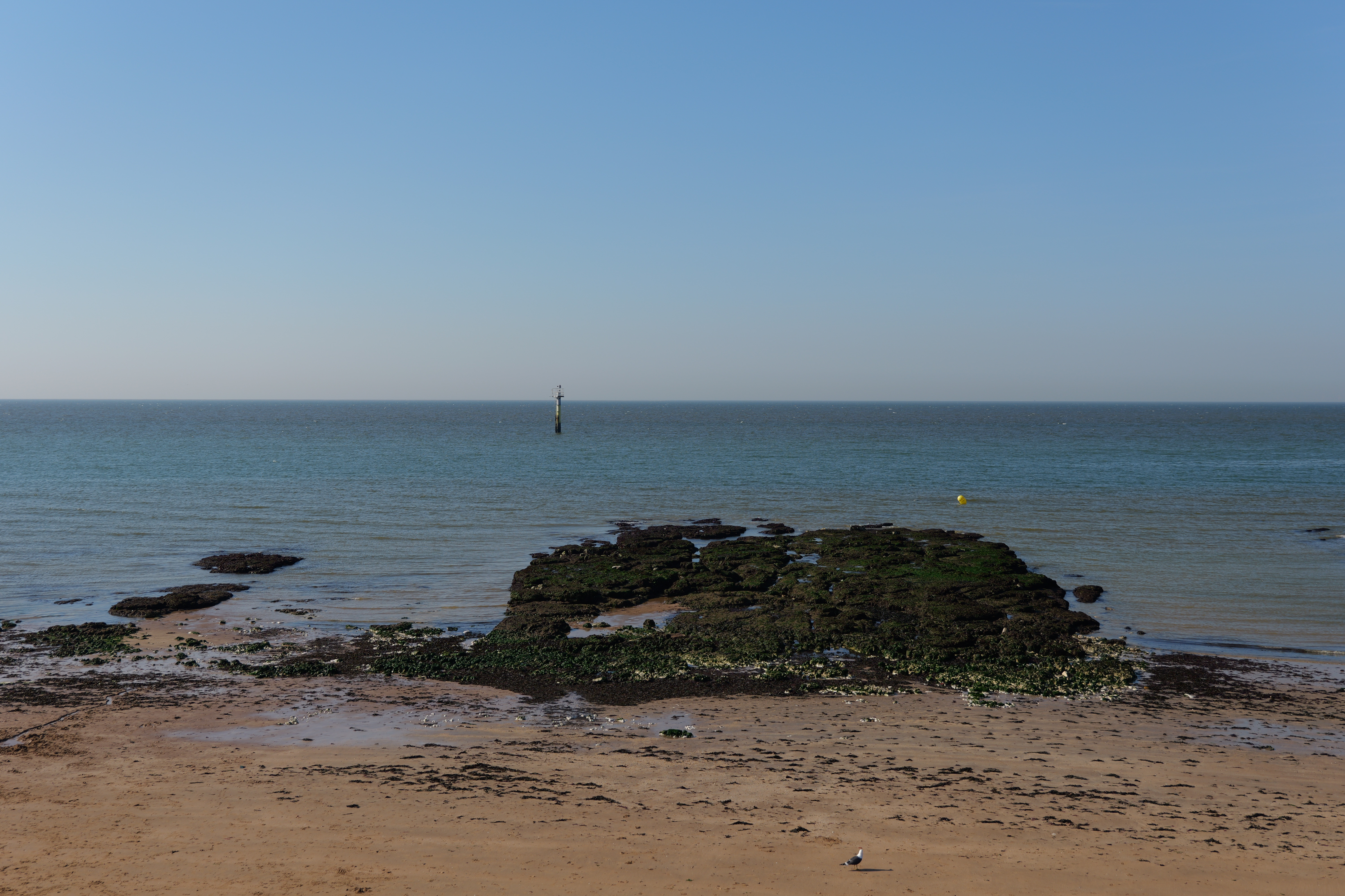 The ocean with beach and rocks