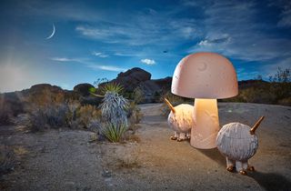 Haas Mojave Moon table lamp