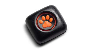 PitPat Dog Activity Monitor