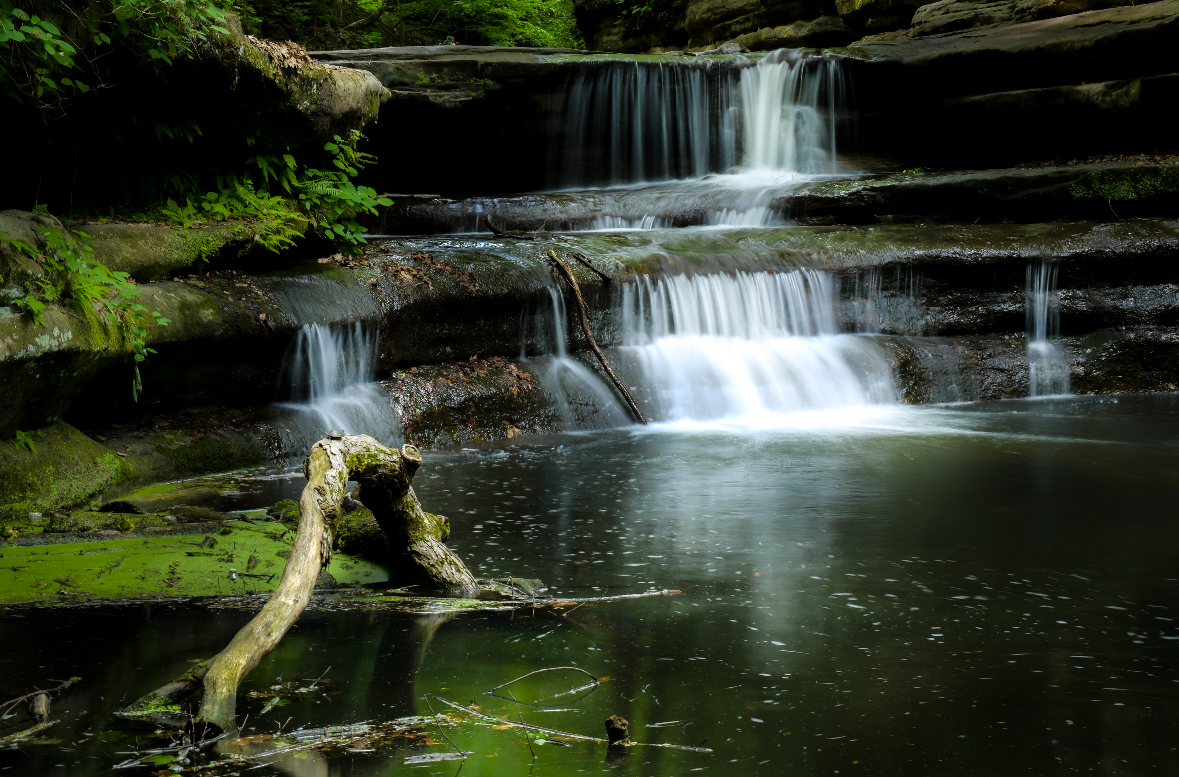 GuruShots - Nature March 2026