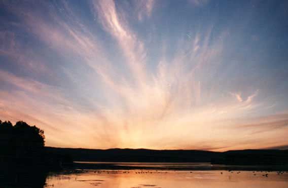 Cirrus clouds