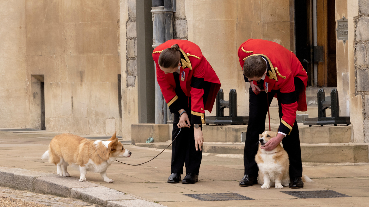 The corgis of Queen Elizabeth II, Muick and Sandy