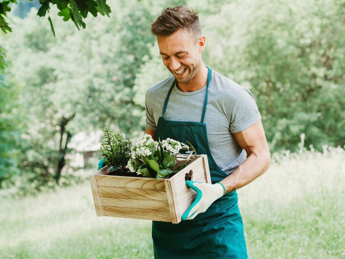 Gardener Holding A Box Of Planter Flowers