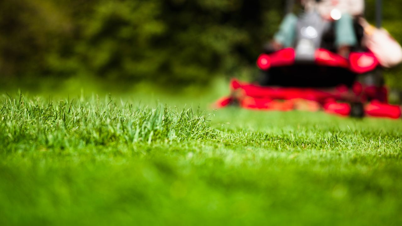 Man mowing lawn