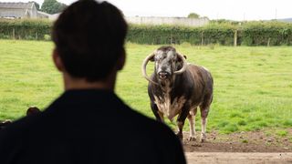 Mackenzie Boyd looking at a bull in front of him.