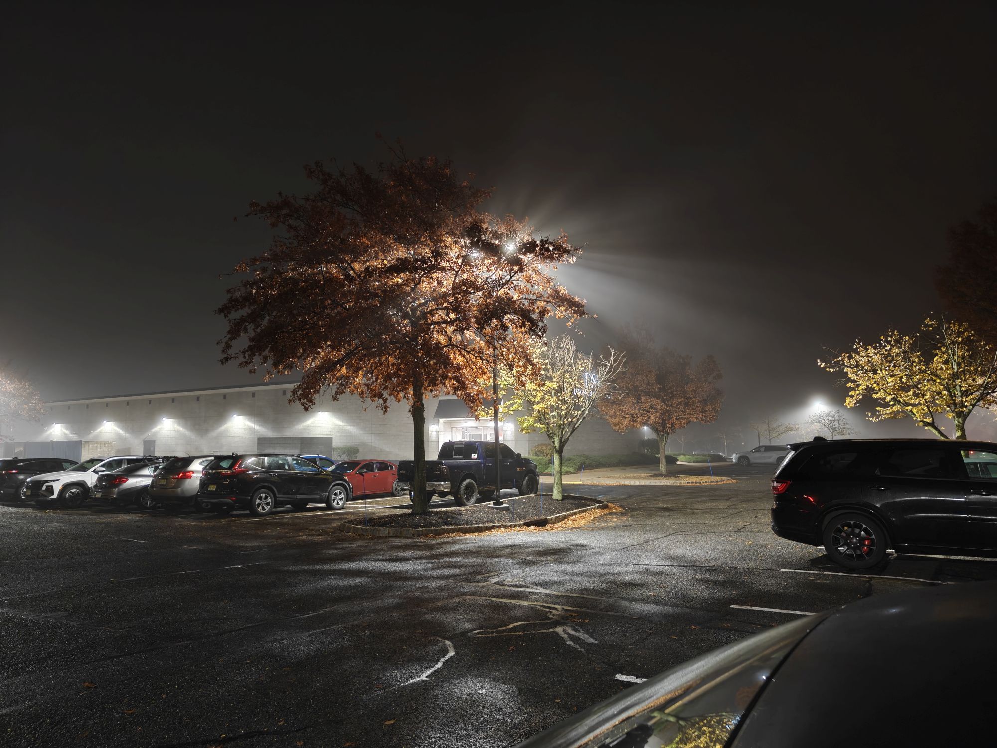 OnePlus 15  camera sample.