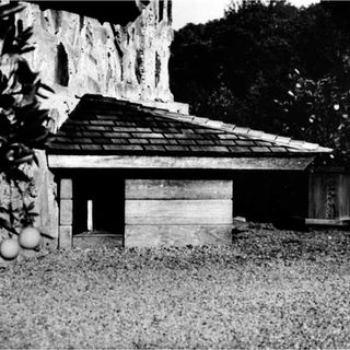 dog house in black and white colour