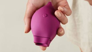 Smile Makers The Poet suction vibrator
