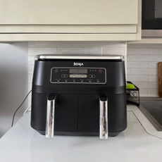 Retesting the Ninja Dual Zone air fryer 