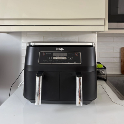 Retesting the Ninja Dual Zone air fryer