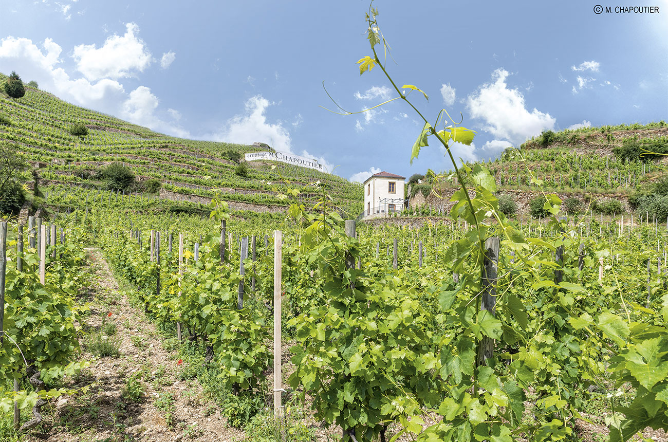 M Chapoutier S&amp;eacute;lections Parcellaires