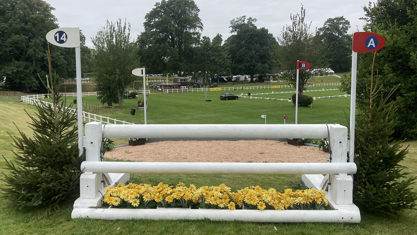 Bicton-fence14A