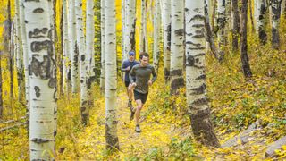 Two trail runners in Vail during fall foliage