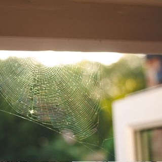 A spider web in a doorway of a modern house
