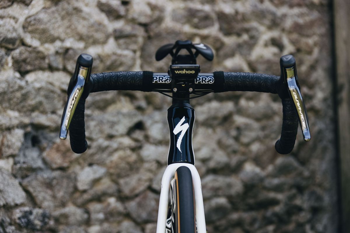 Julian Alaphilippe's Specialized Tarmac SL7