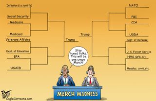 Political Cartoon