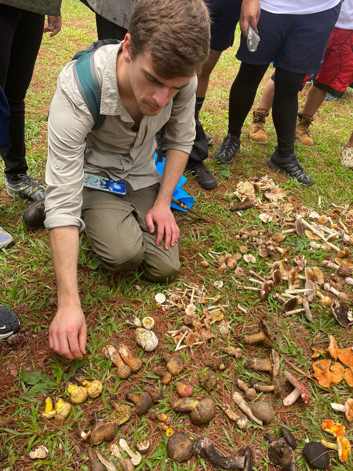 A man crouches over an array of various mushrooms.