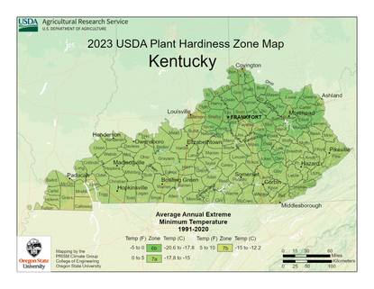 USDA Planting Zone Map for Kentucky