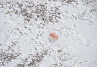 Minutes after the Soyuz TMA-16 spacecraft landed, strong winds caught the main parachute and dragged the spacecraft nearly 30 feet along the snow-covered ground.