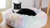 AmazinglyCat marshmallow cat bed