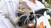 WATFOON Adjustable Lizard Leash