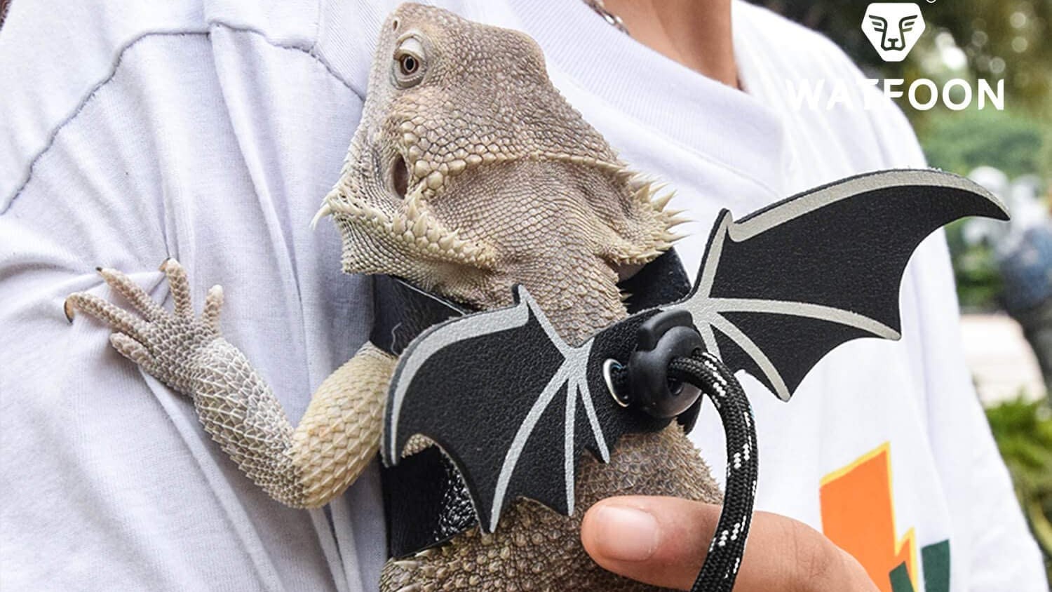 Best toys for pet lizards Banish boredom with our top picks PetsRadar