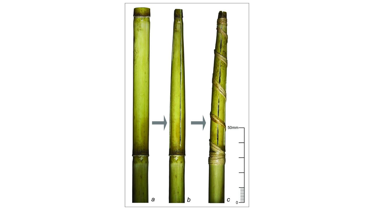 The cha&icirc;ne op&eacute;ratoire (operational sequence) of an experimental tip strainer made from common reed (Phragmites australis).